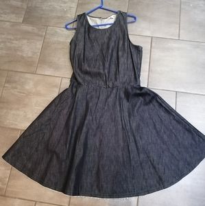 2 for $30 Heavy denim GAP fit and flare dress